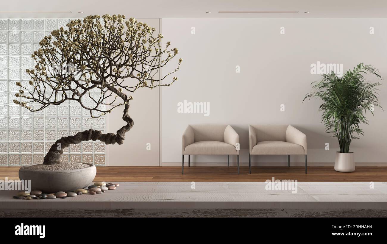 Bonsai Baum in einem Topf mit einer Mauer und rotem Fenster im Hintergrund  in BaiHuaTan Park, Chengdu Stockfotografie - Alamy