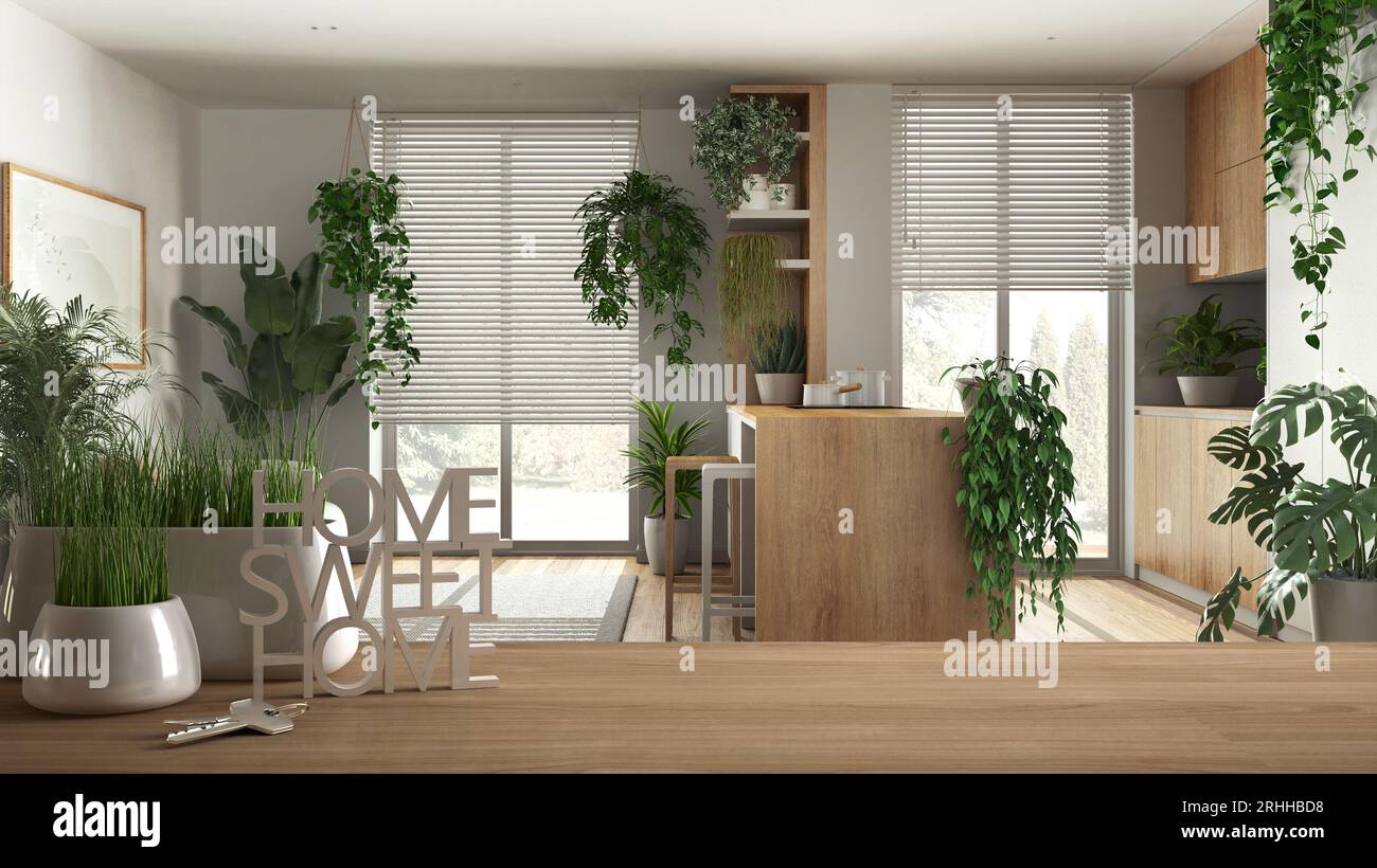 Holztisch, Schreibtisch oder Regal mit Topfgraspflanze, Hausschlüssel und 3D-Buchstaben Zuhause süß, über weißem Wohnzimmer und Küche, Architektur inter Stockfoto