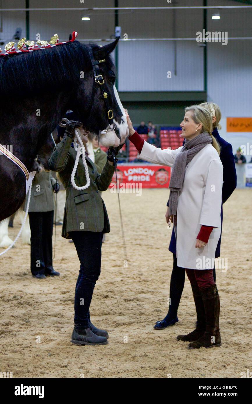 Sophie, Herzogin von Wessex, auf der Shire Horse Society National Show 2019, in ihrer Rolle als Präsidentin der Gesellschaft Stockfoto