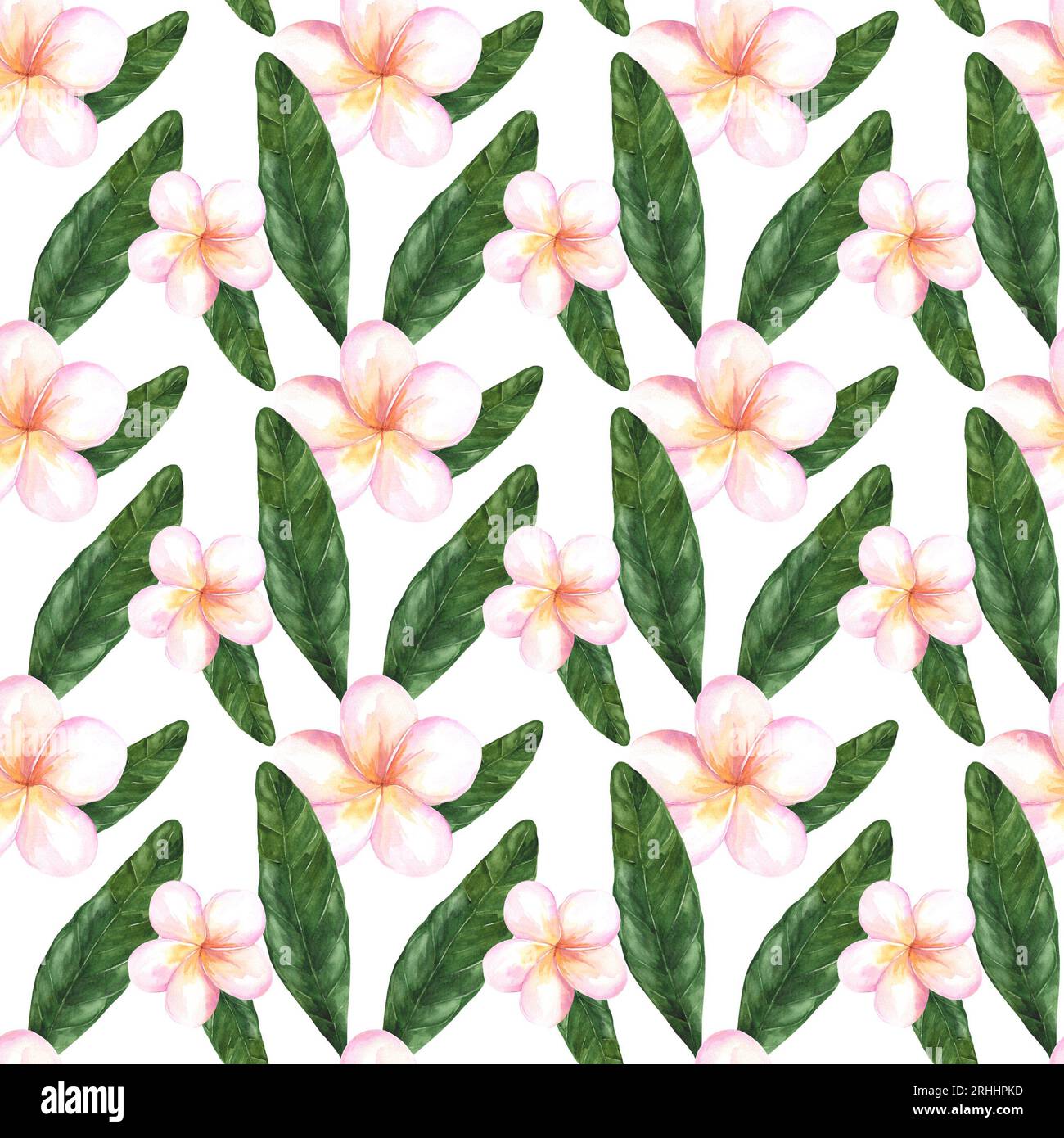 Nahtloses Aquarellmuster mit Plumerieblumen. Tropische Pflanzen und Blumen. Sommermuster für Stoff und Scrapbooking Stockfoto