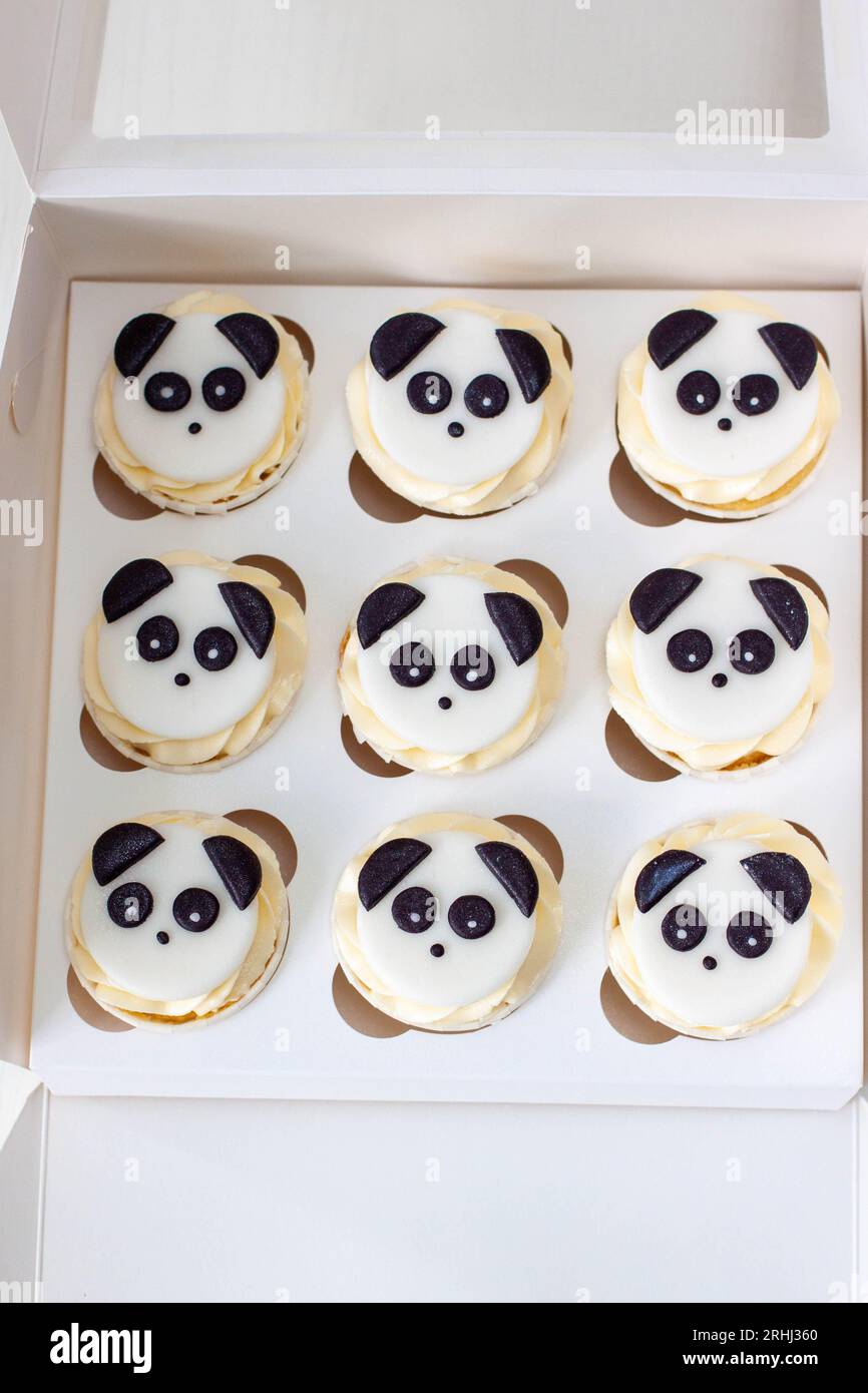 Schwarz-weiße Panda Cupcakes in Geschenkbox zum Kindergeburtstag Stockfoto