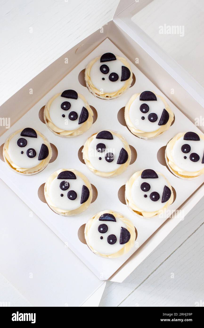 Schwarz-weiße Panda Cupcakes in Geschenkbox zum Kindergeburtstag Stockfoto