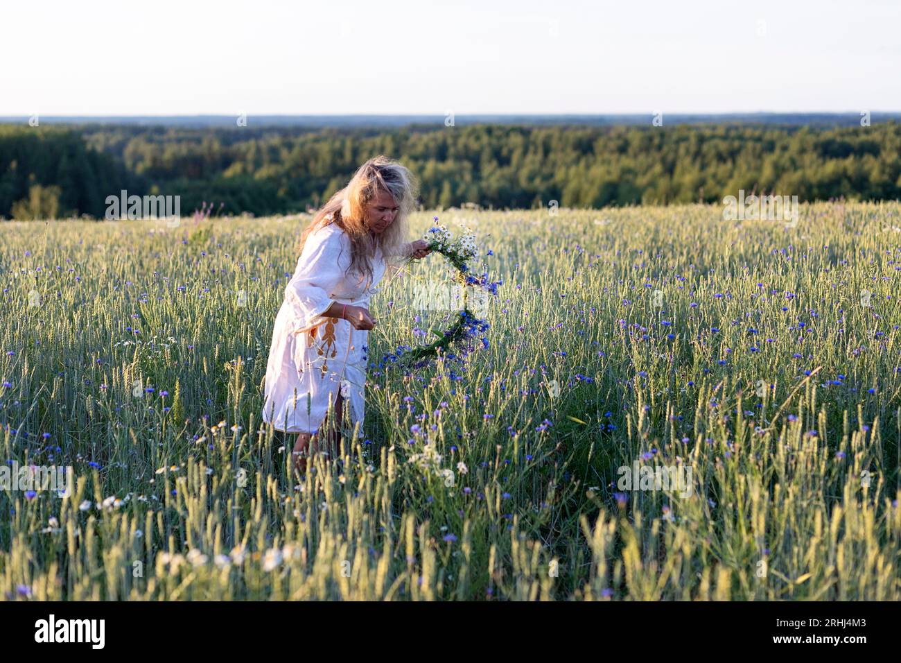 Frau sammelt Blumen für Blumenkranz für Sommersonnenfeier auf dem Feld in seto Country, Estland Stockfoto