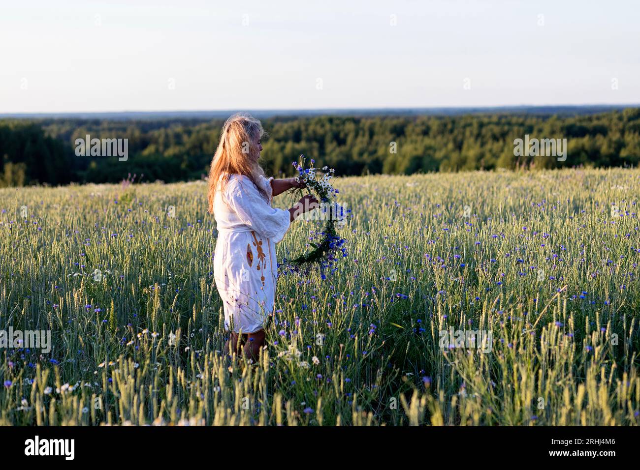 Frau sammelt Blumen für Blumenkranz für Sommersonnenfeier auf dem Feld in seto Country, Estland Stockfoto