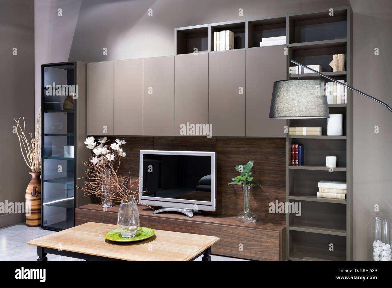 Innenarchitektur des modernen Wohnzimmers mit TV-Gerät ausgestattet blühende Blumen Pflanzen in Vase auf mittleren Tisch Regale Bücher leuchten Licht in Stoffverpackung Stockfoto