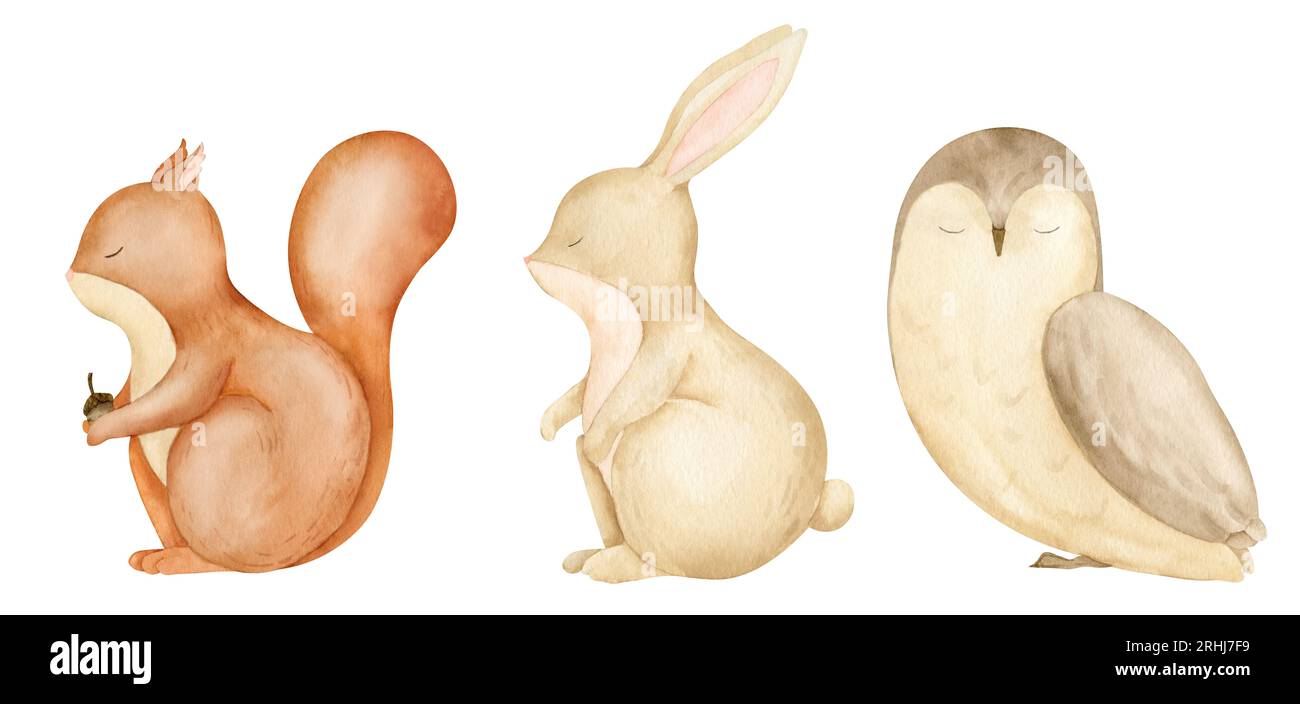 Baby-Waldtiere. Handgezeichnete Aquarellillustration von Eichhörnchen, Hase und Eule auf isoliertem Hintergrund. Zeichnung von Waldfiguren für Kinderduschen-Grußkarten oder Geburtstagseinladungen. Stockfoto