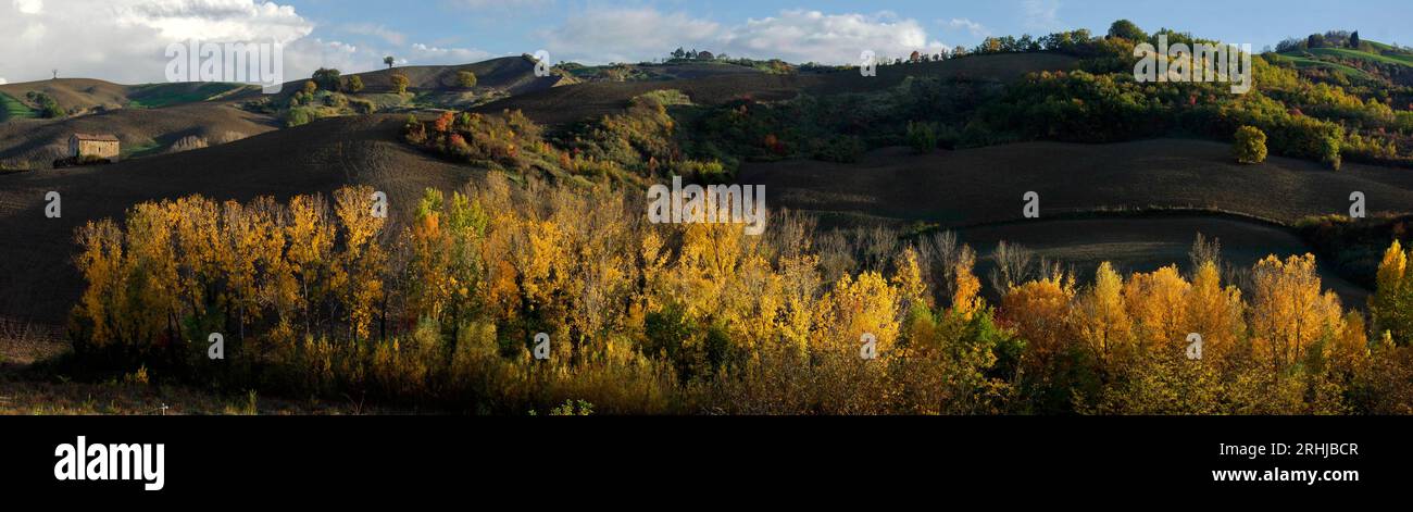 Alberi e campi del Montefeltro in autun no Stockfoto