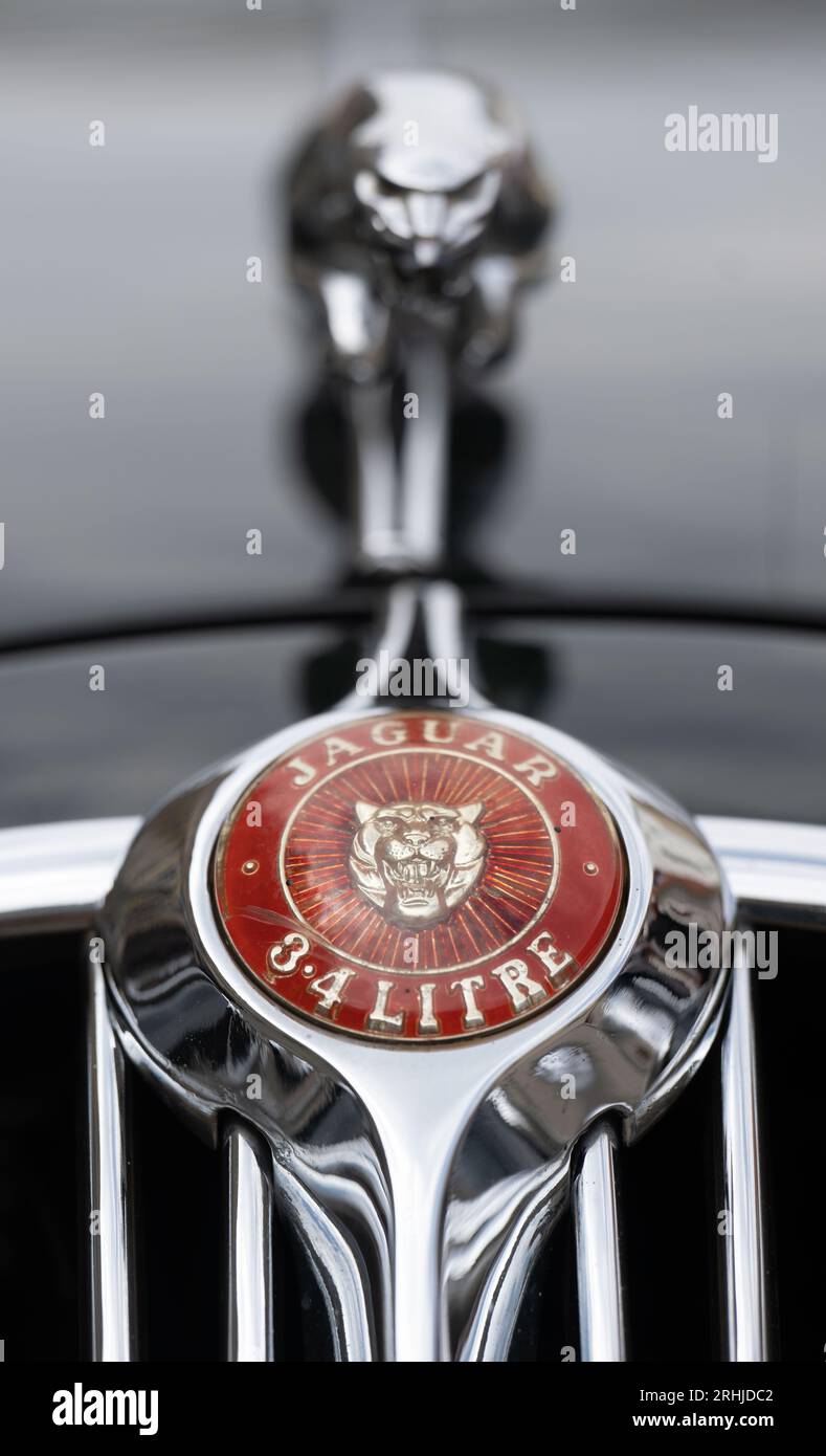 17. August 2023, Sachsen, Zwickau: Ein 1964 gebauter Jaguar Mk II 3,4 steht vor Beginn der Sachsen Classic Oldtimer-Rallye auf dem Zwickauer Marktplatz. Rund 180 Starter aus mehreren Ländern haben sich für die 20. Ausgabe des HochPS-Spektakels angemeldet. Am ersten Tag der 540 Kilometer langen Tour kamen 45 historische Motorräder hinzu. Von Zwickau führt die Strecke durch das Erzgebirge nach Dresden und Ostsachsen, mit einem Abstecher nach Tschechien. Das Finale findet am Samstag wieder in Dresden statt. Veranstalter ist die Motor Presse Stuttgart. Foto: Hendrik S Stockfoto