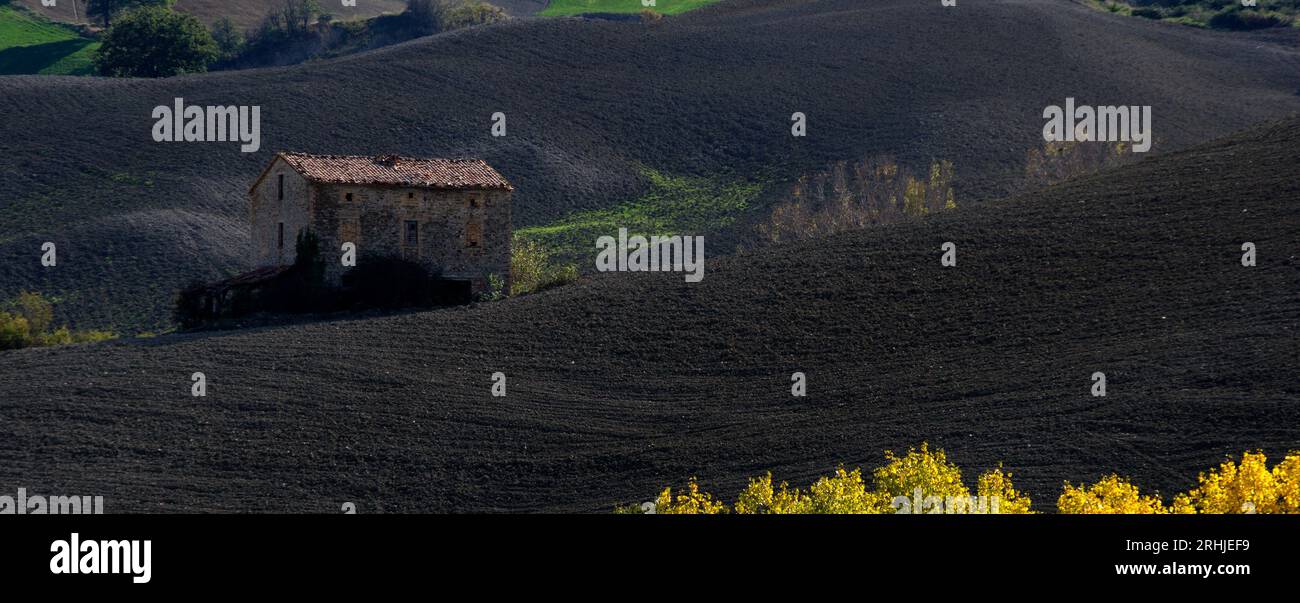 vecchia casa di campagna abbandonata, in Mezzo ad un campo arato Stockfoto