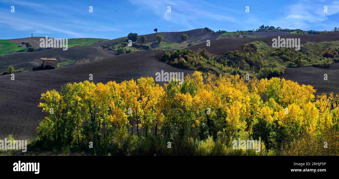 Alberi e campi del Montefeltro in autun no Stockfoto