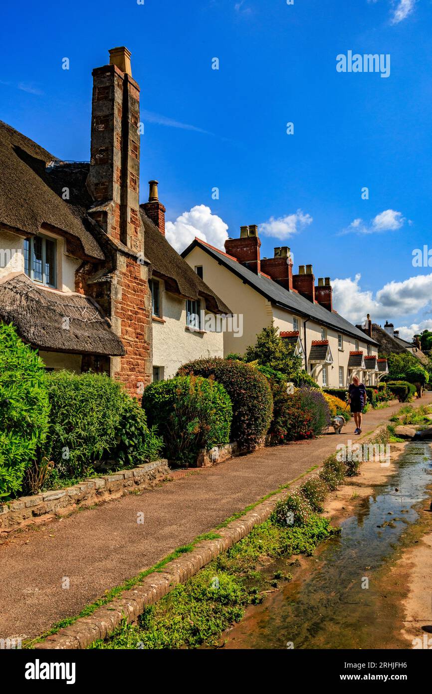 Reetdachhaus und gepflegte Gärten säumen die Hauptstraße in Otterton, Devon, England, Großbritannien Stockfoto