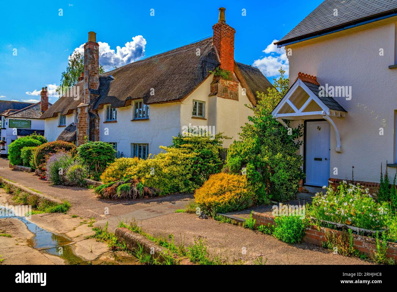 Farbenfrohe Cottages und gepflegte Gärten säumen die Hauptstraße in Otterton, Devon, England, Großbritannien Stockfoto