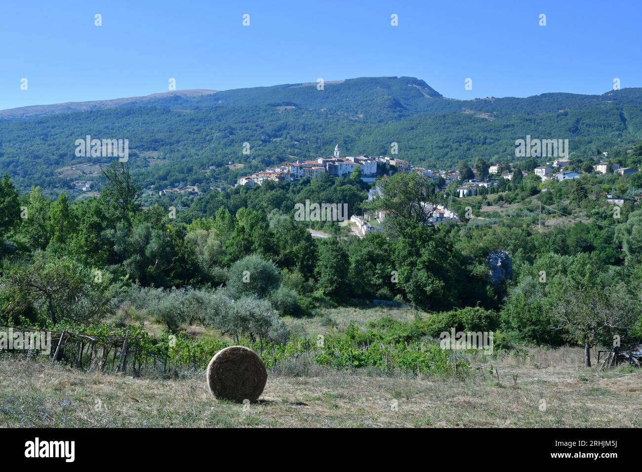 Panoramablick auf Civitanova del Sannio, ein altes Dorf in den Bergen von Molise in Italien. Stockfoto