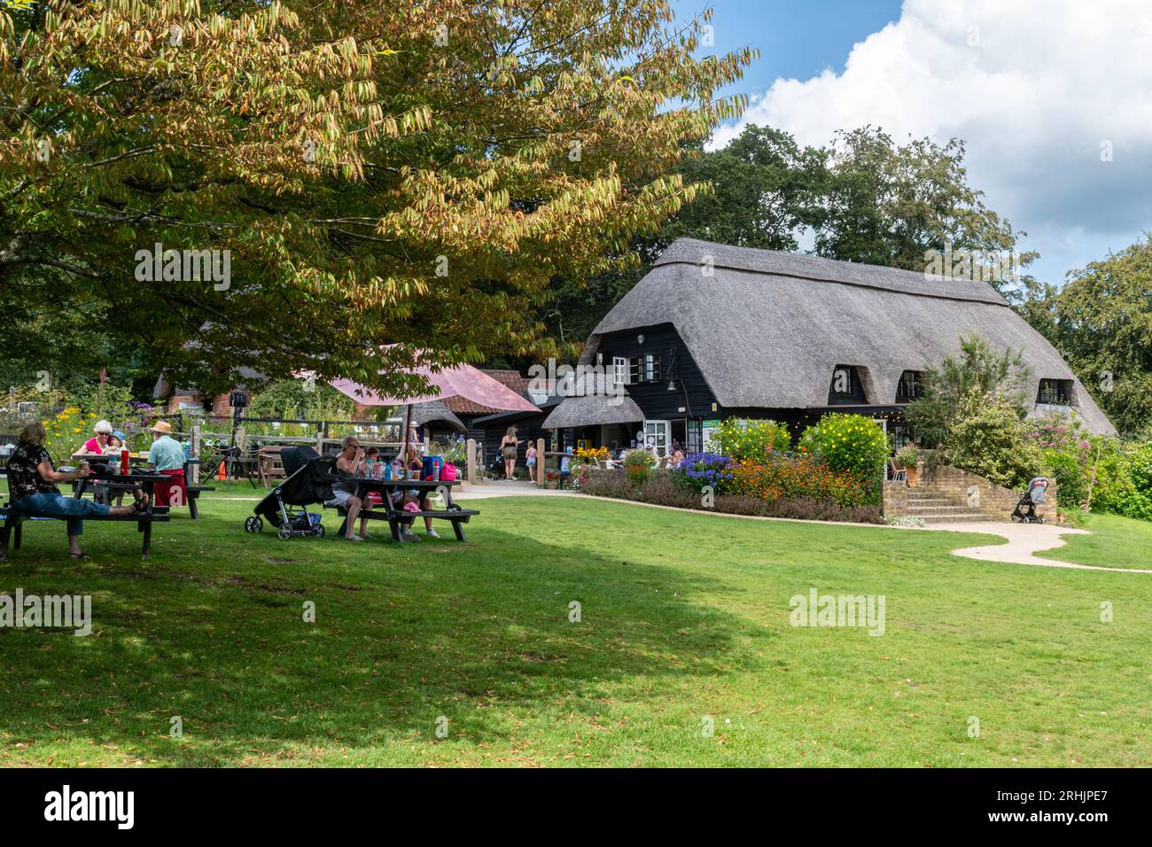 Furzey Gardens, eine Besucherattraktion im New Forest National Park, Hampshire, England, Großbritannien, im Sommer. Leute essen im Picknickbereich zu Mittag Stockfoto