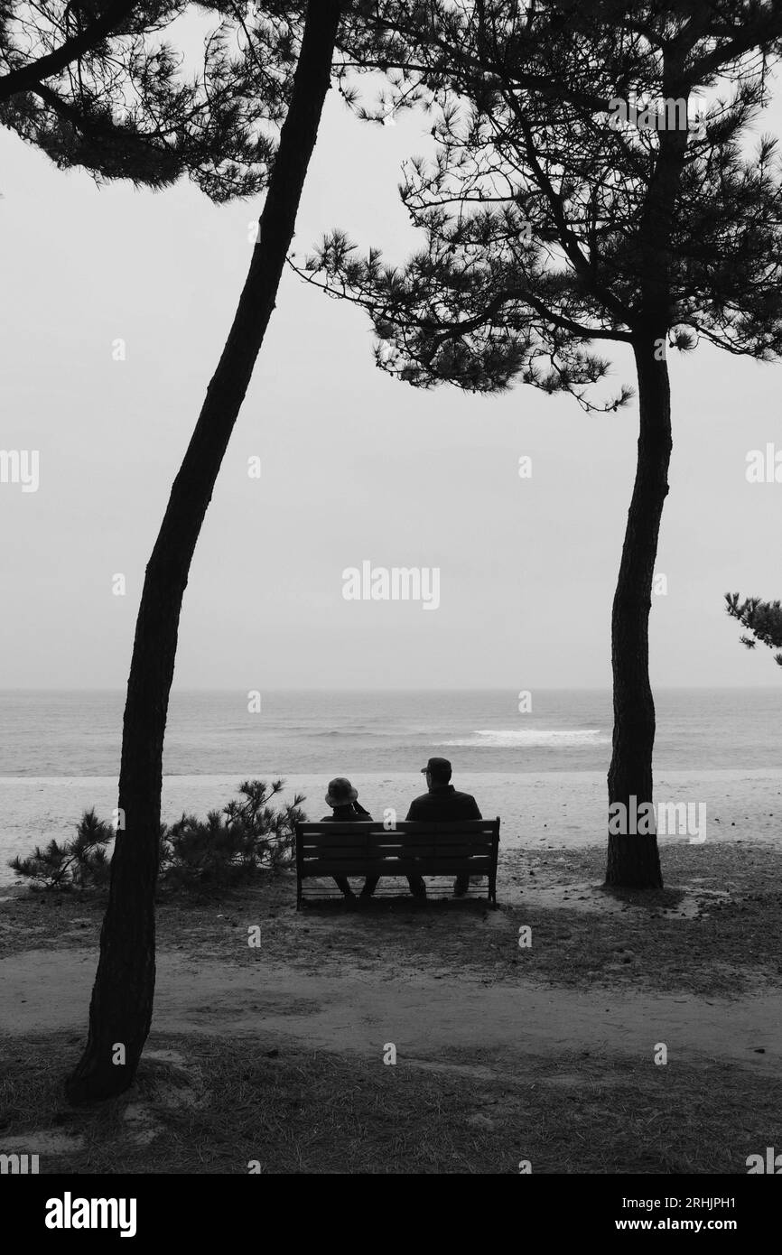 Pärchen auf einer Bank mit Blick aufs Meer, Gangneung Beach, Südkorea, 2023 Stockfoto