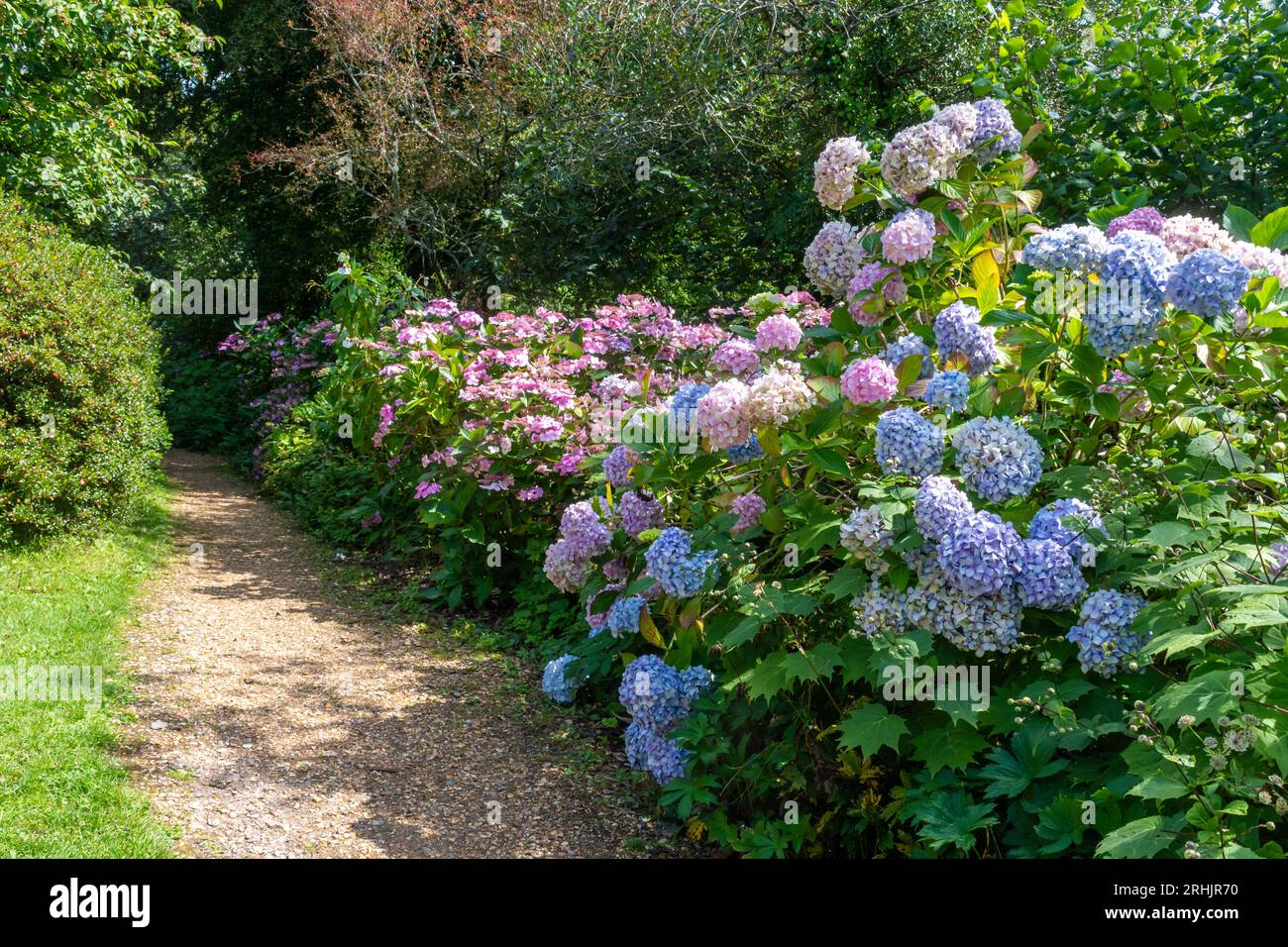 Furzey Gardens, eine Besucherattraktion im New Forest National Park, Hampshire, England, Großbritannien, im Sommer Stockfoto