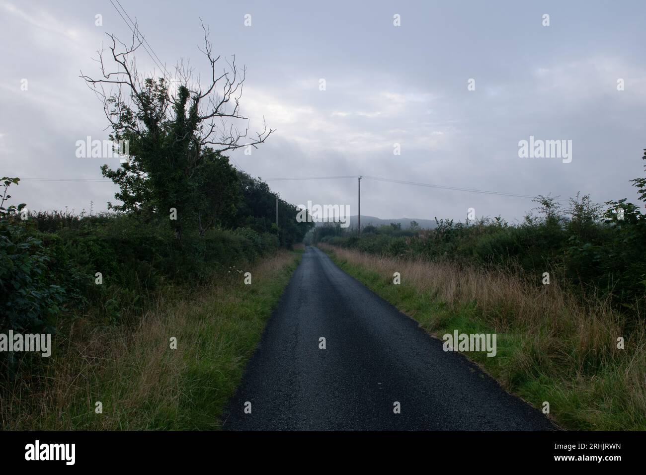 Country Lane, Llanteglos, Pembrokeshire, Wales. Stockfoto