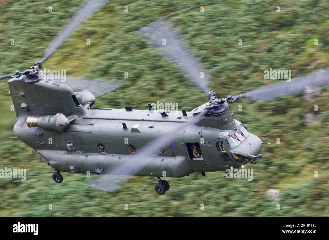 Ein RAF-Chinook-Hubschrauber, der Tiefflug im Mach Loop Area in Wales übt Stockfoto