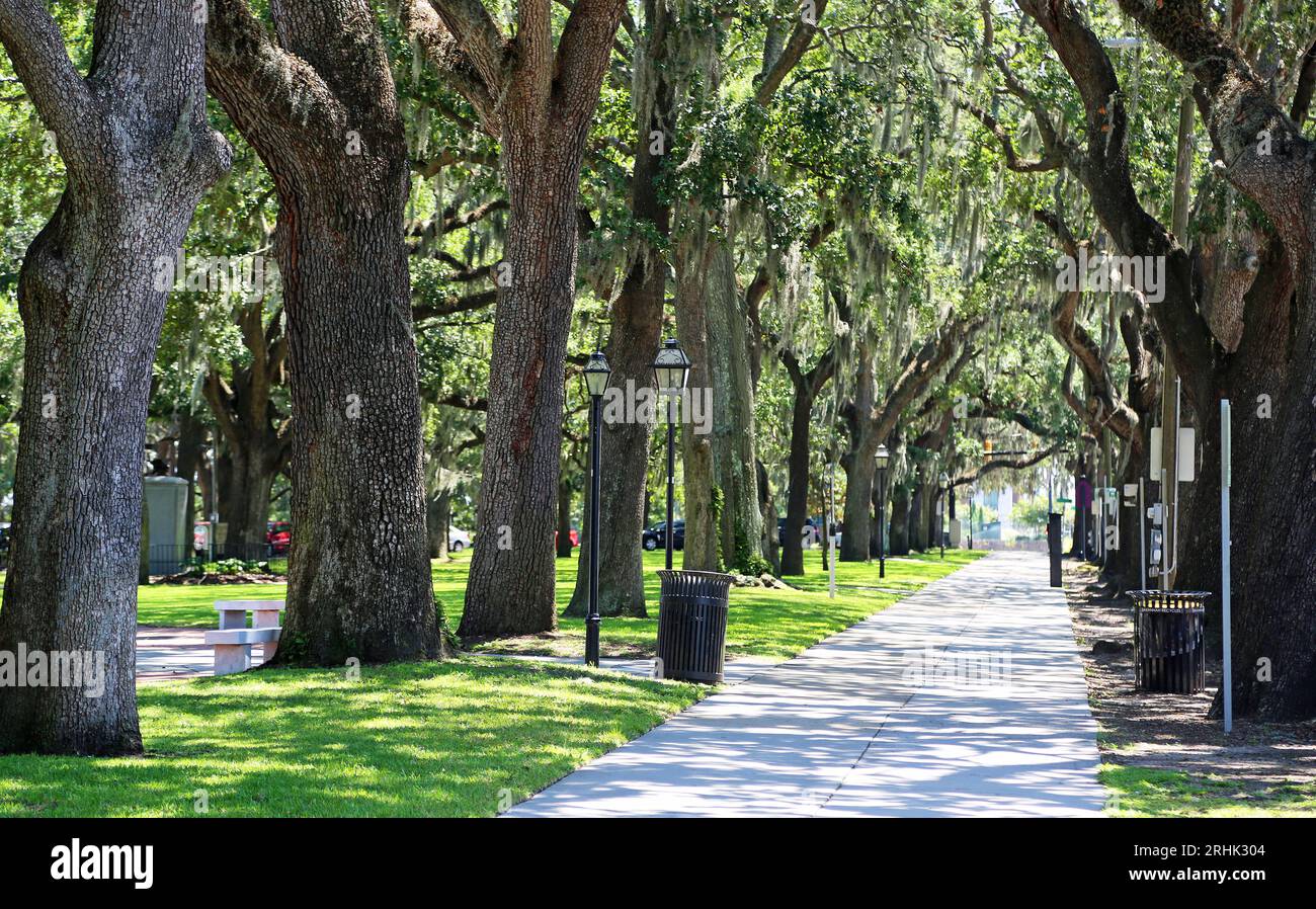 Gasse im Emmet Park - Savannah, Goergia Stockfoto