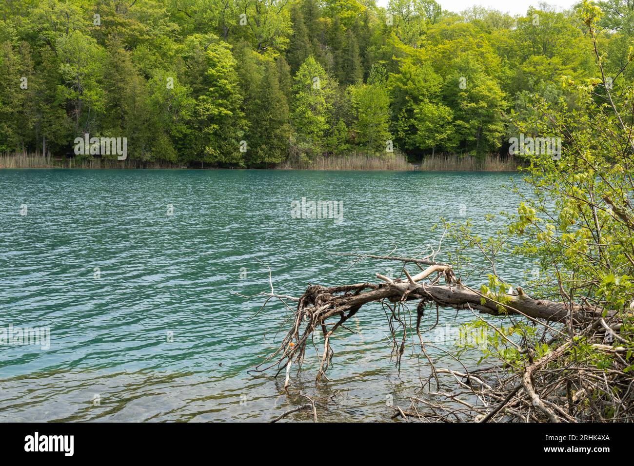 Seeblick mit Blick auf das Wasser und das baumbestandene Ufer. Die Tour beginnt im Green Lakes State Park, Syracuse, New York. Stockfoto