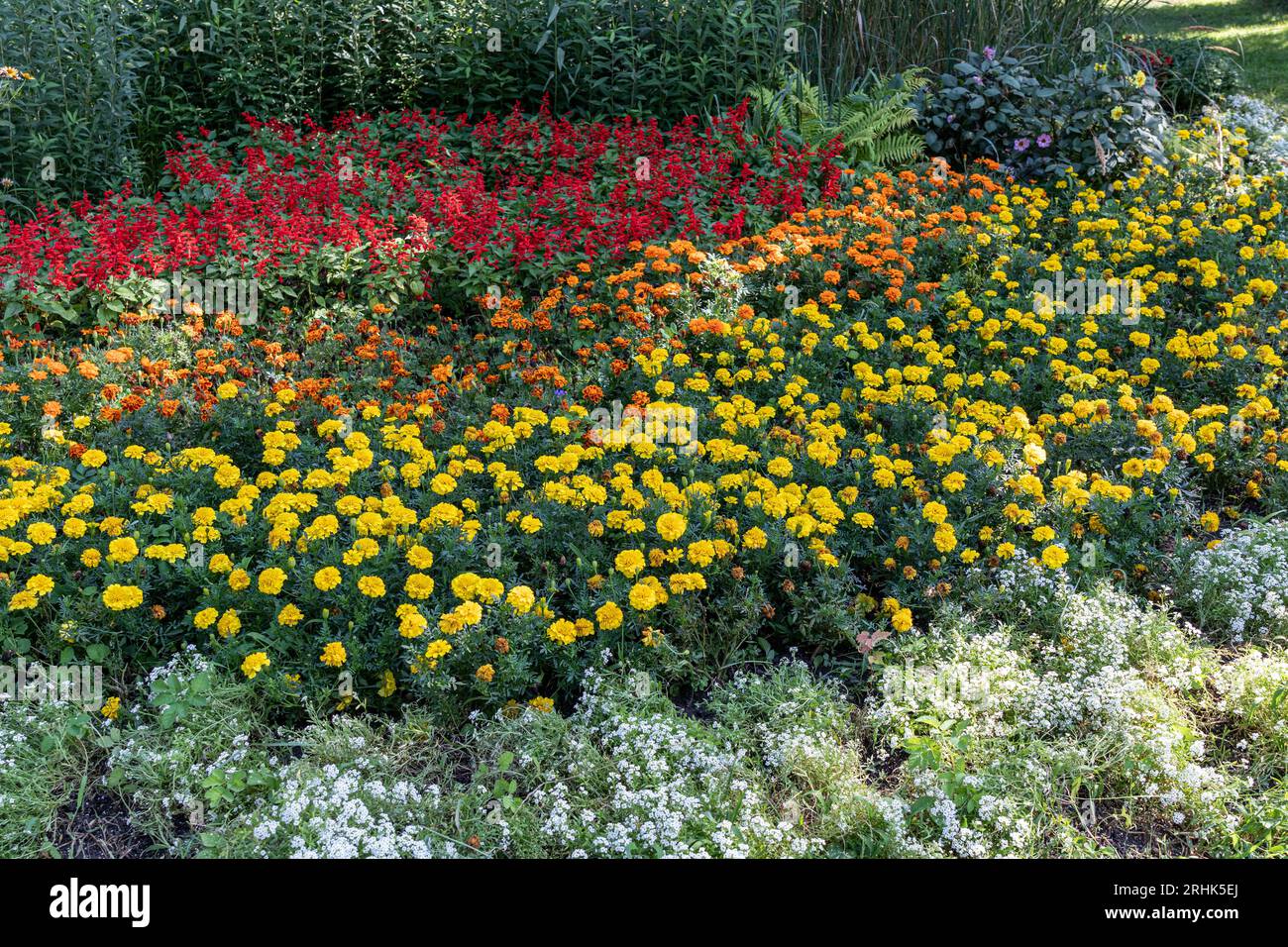 Ein Foto im Park von Chisinau Stockfoto