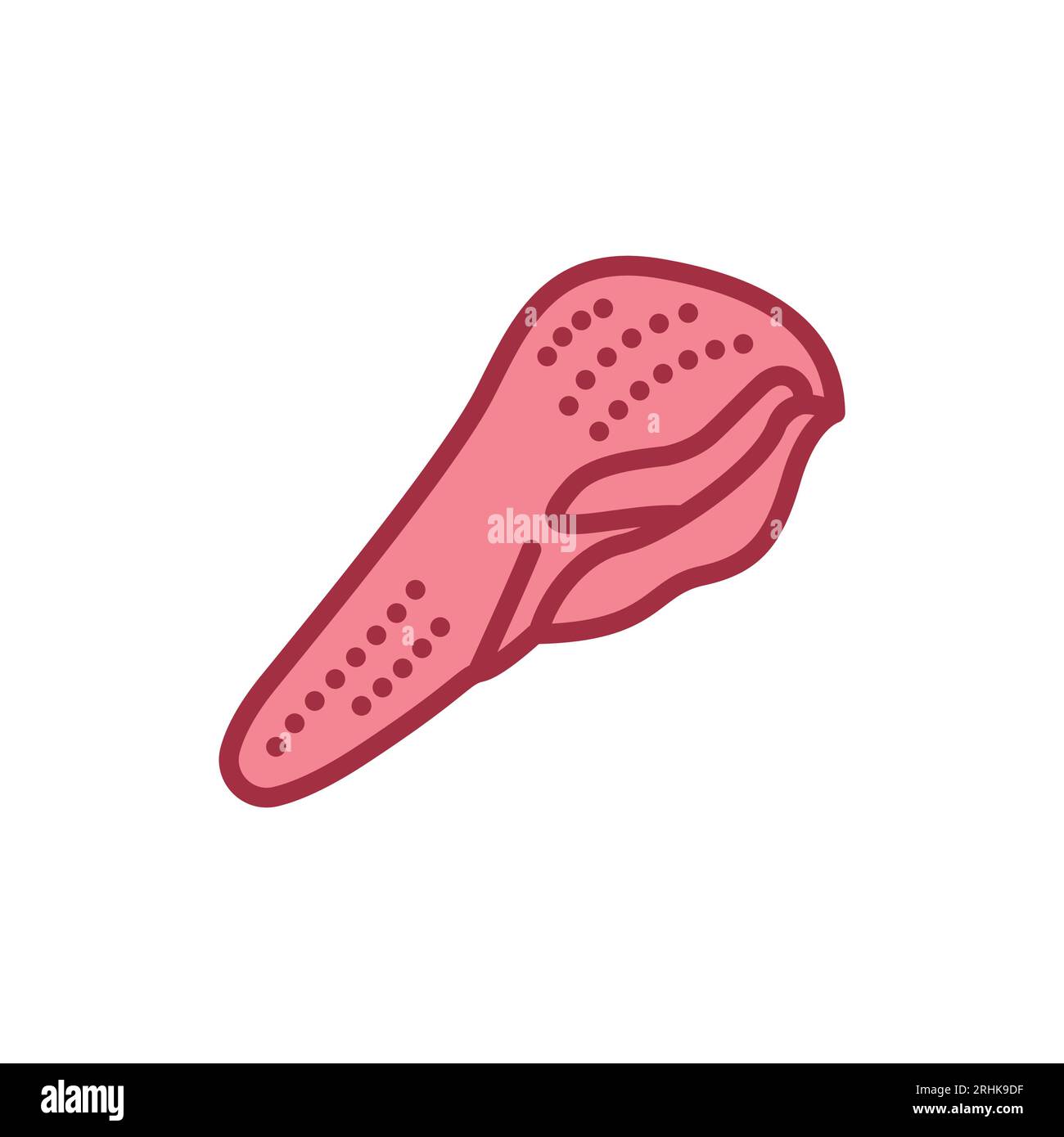 Symbol für die Farbleitung der Rinderzunge. Schneiden von Fleisch. Piktogramm für Webseite, mobile App, Promo. Stock Vektor