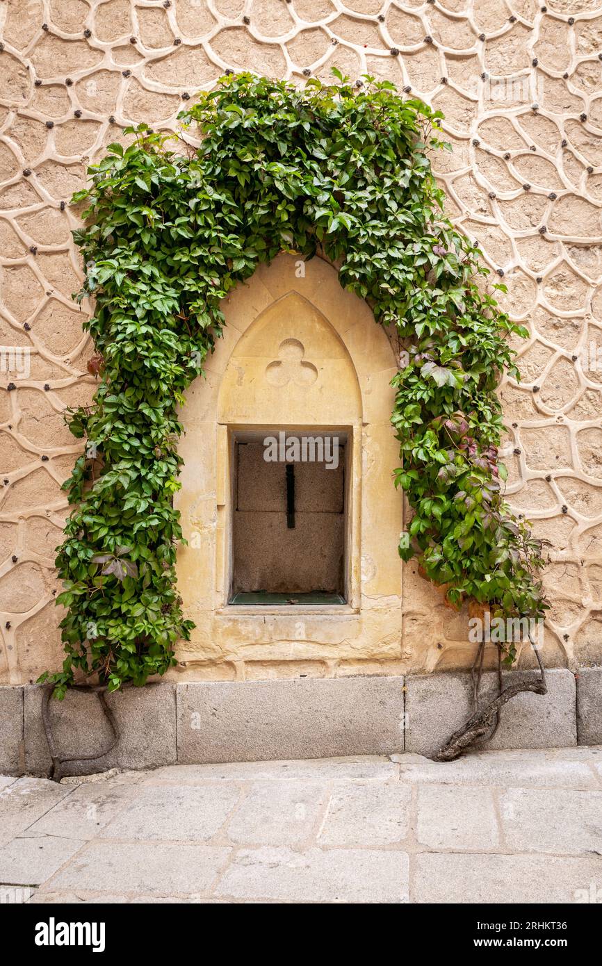Steinnische mit Bogen in der Mauer des Alcazar von Segovia mit üppig grüner Efeupflanze, die umherkriecht und einen natürlichen Rahmen aus Blättern schafft. Stockfoto