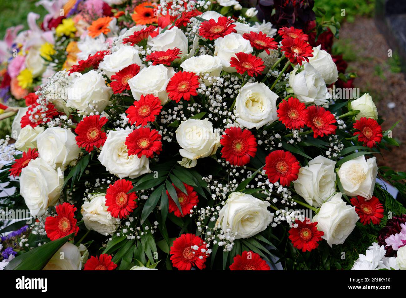 Beerdigungsblüten von weißer zigeunerophila, roter Gerbera und weißer Rosen auf einem Grab nach einer Beerdigung Stockfoto