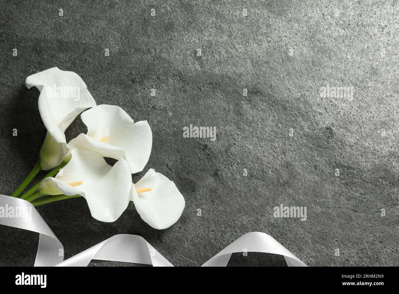 Schöne Calla-Lilie-Blumen und weißes Band auf grauem Tisch, flache Lage mit Platz für Text. Beerdigungssymbole Stockfoto
