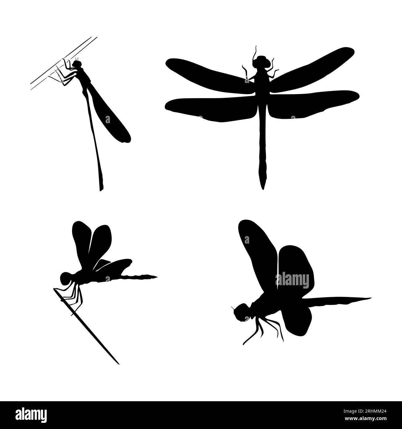 Vier Libellen-Silhouetten auf weißem Hintergrund. Stock Vektor