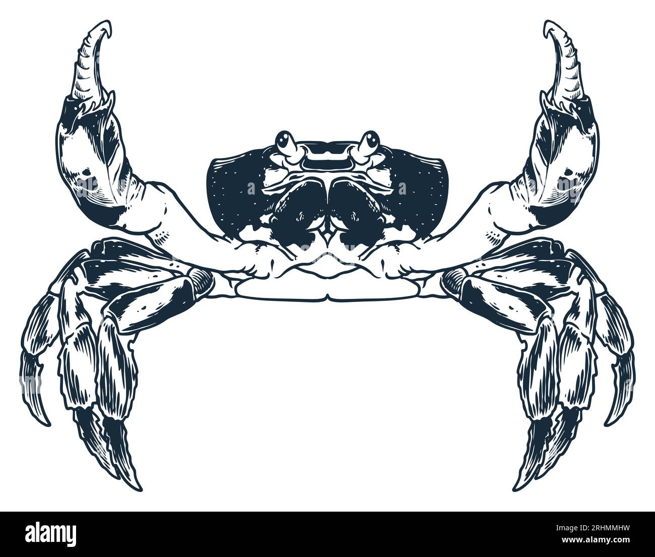 Meeresfrüchte-Tier-Krabben-Gravur-Zeichnungsvektor. Handskizze im Vintage-Stil. Nahrung Tier Meer isoliert auf weißem Hintergrund. Stock Vektor