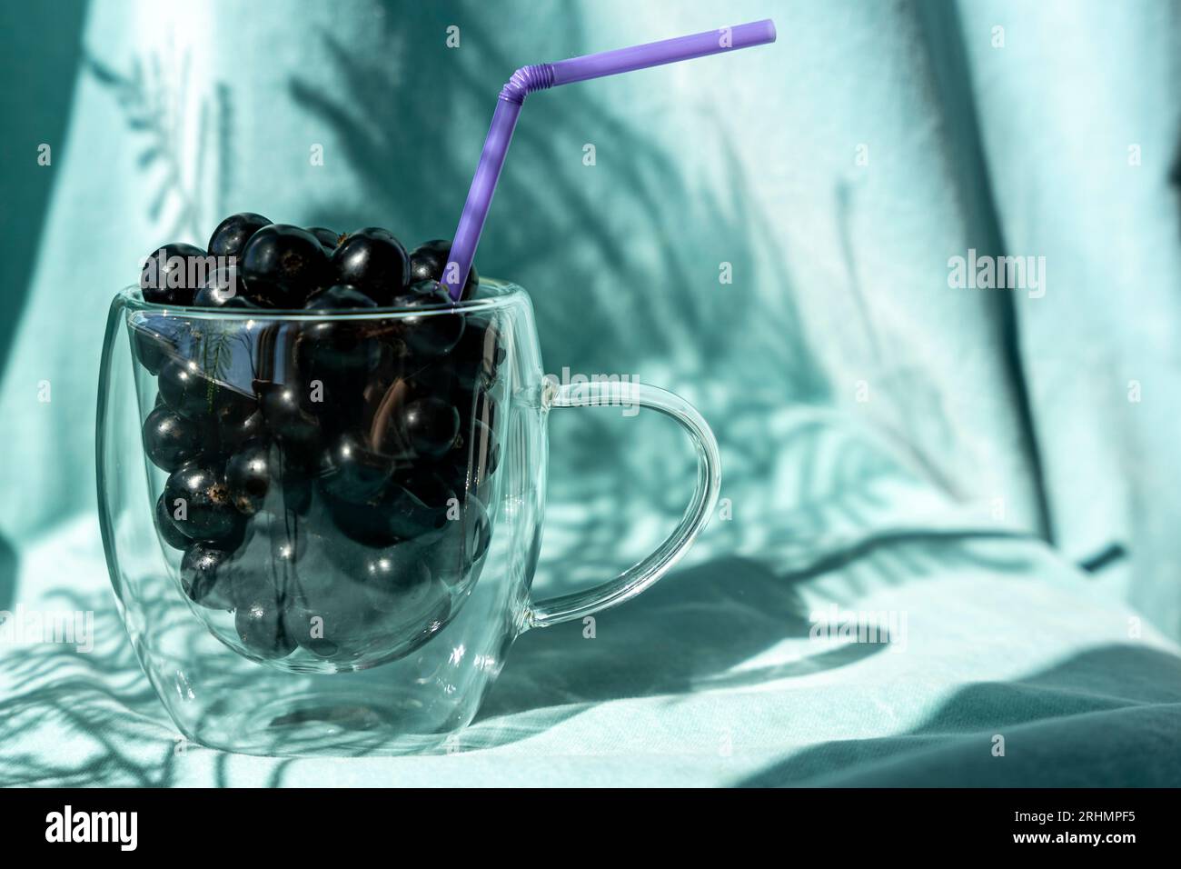 Frische schwarze Johannisbeeren im Sommer in einem Glasbecher mit Cocktailröhrchen auf türkisfarbenem Stoffhintergrund. Harte Schatten. Süße reife schwarze Johannisbeere. vitam Stockfoto