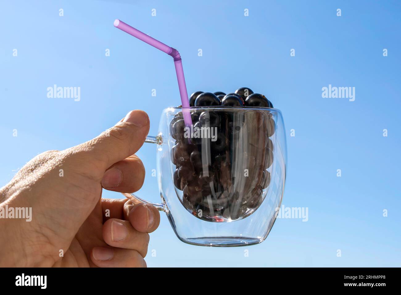 Die Hand eines Mannes hält einen Glasbecher mit einer Cocktailröhre gefüllt mit frischen und saftigen schwarzen Johannisbeeren. Süße reife schwarze Johannisbeere vor dem blauen Himmel. Stockfoto