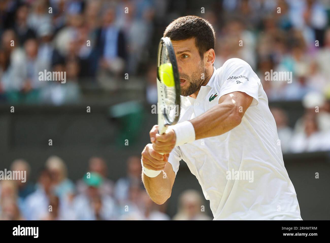 Tennisspieler Novak Djokovic (SRB) bei den Wimbledon Championships 2023, All England Lawn Tennis and Croquet Club, London, England. Stockfoto