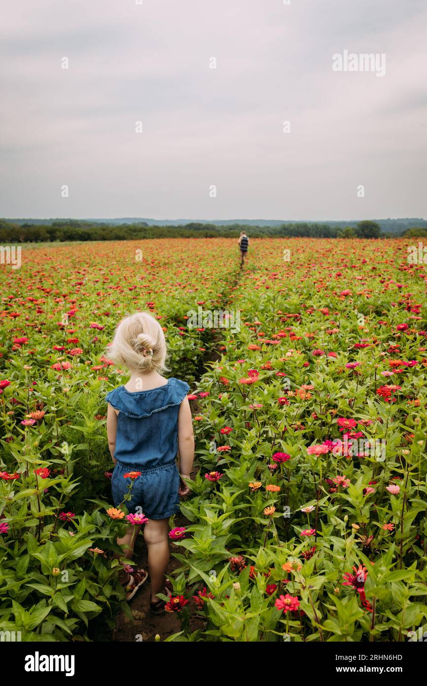 Kinder, die einen Weg durch ein Feld mit rosa Blumen gehen Stockfoto