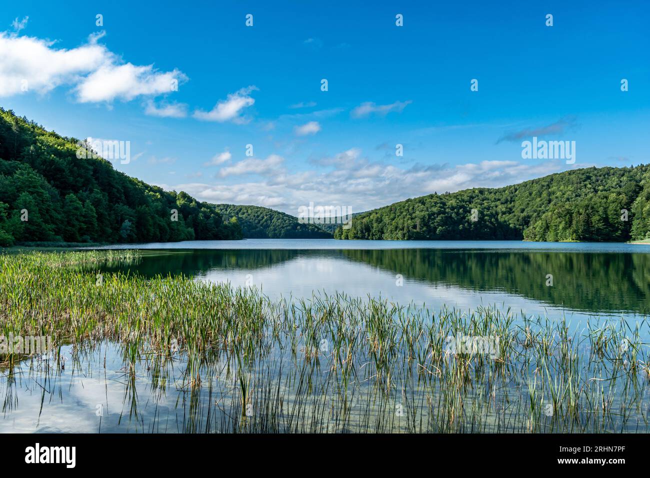 Nationalpark Plitvicer Seen, Kroatien Stockfoto