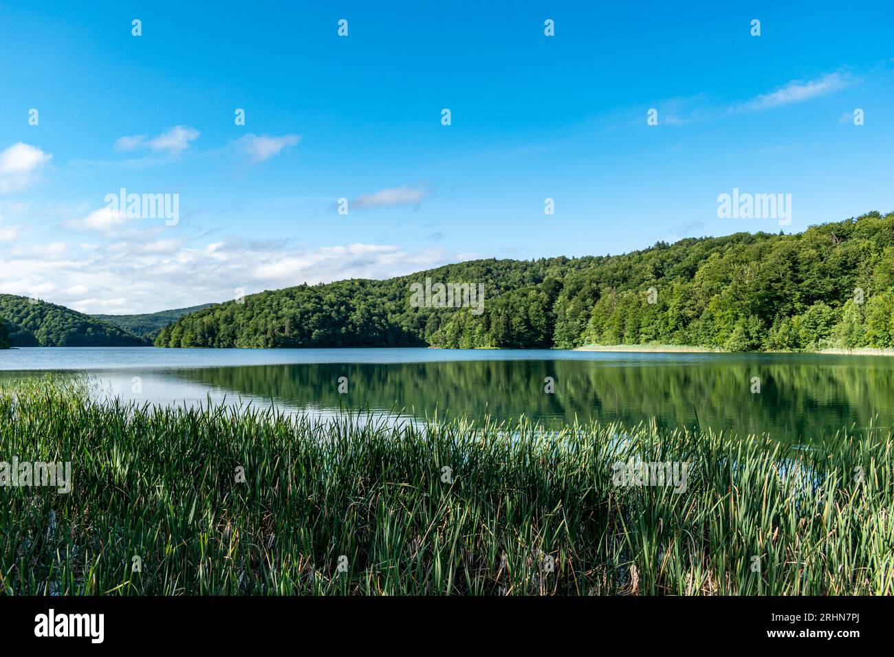 Nationalpark Plitvicer Seen, Kroatien Stockfoto