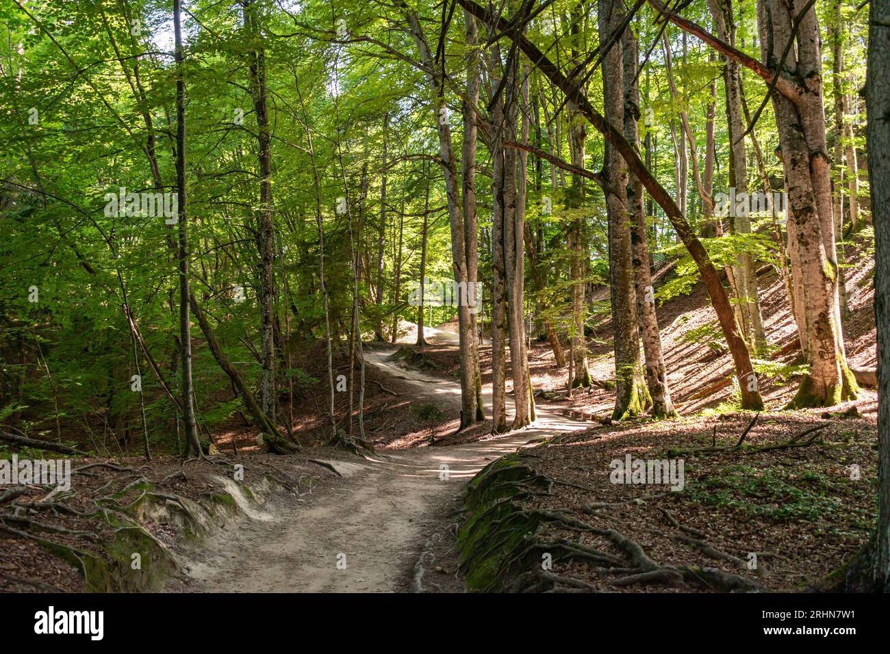 Nationalpark Plitvicer Seen, Kroatien Stockfoto