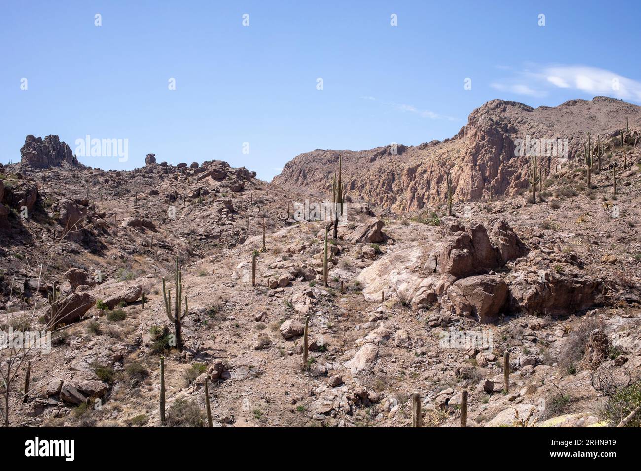 Eine felsige, karge Wüstenlandschaft Stockfoto