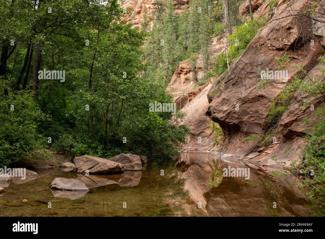 Entspringe den steilen Felsvorsprung und die bewaldete Landschaft Stockfoto