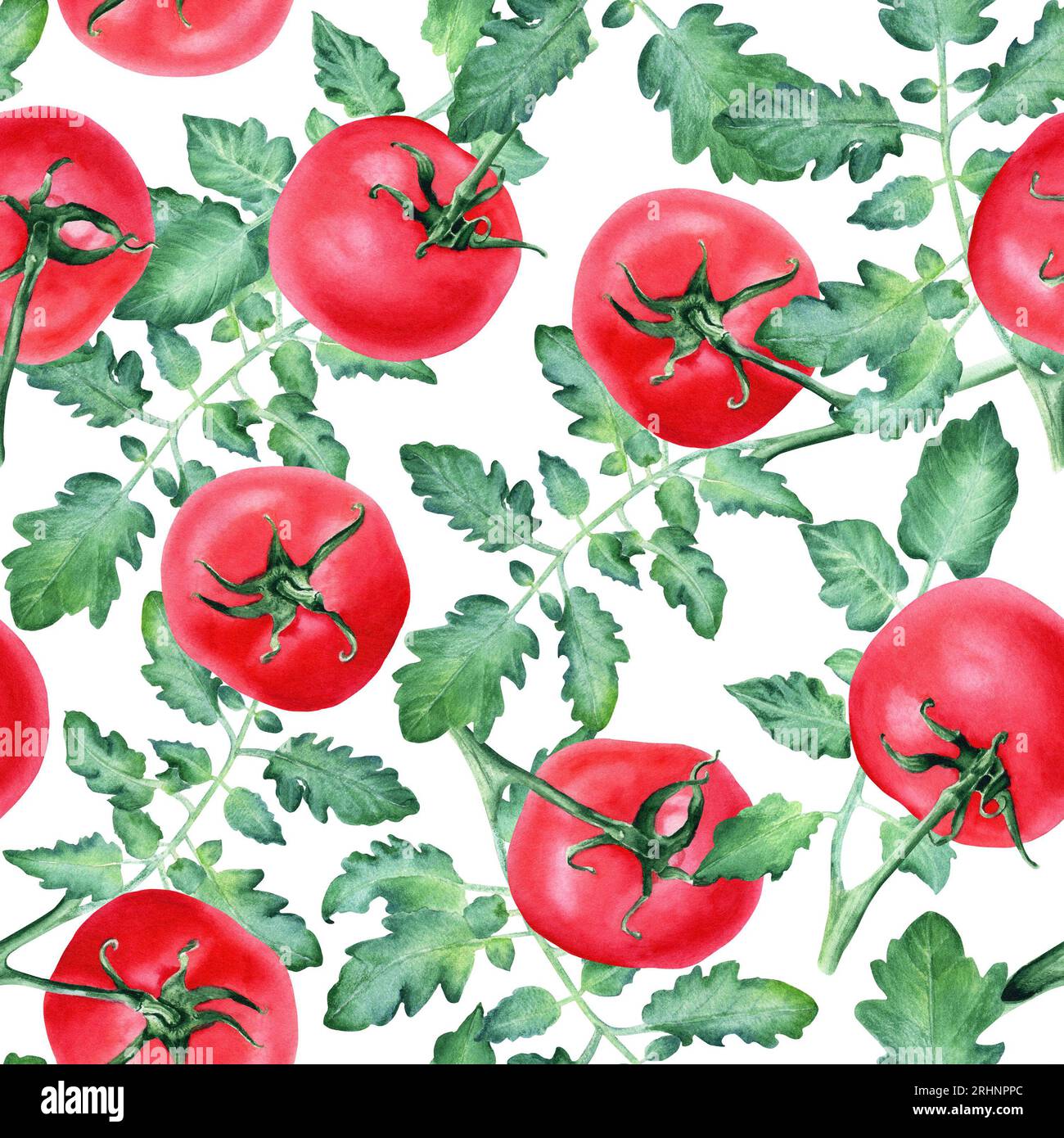 Nahtloses Aquarellmuster mit roten Tomatenzweigen mit Blättern. Illustration für Umhüllung, Tapete, Stoff, Textil Stockfoto