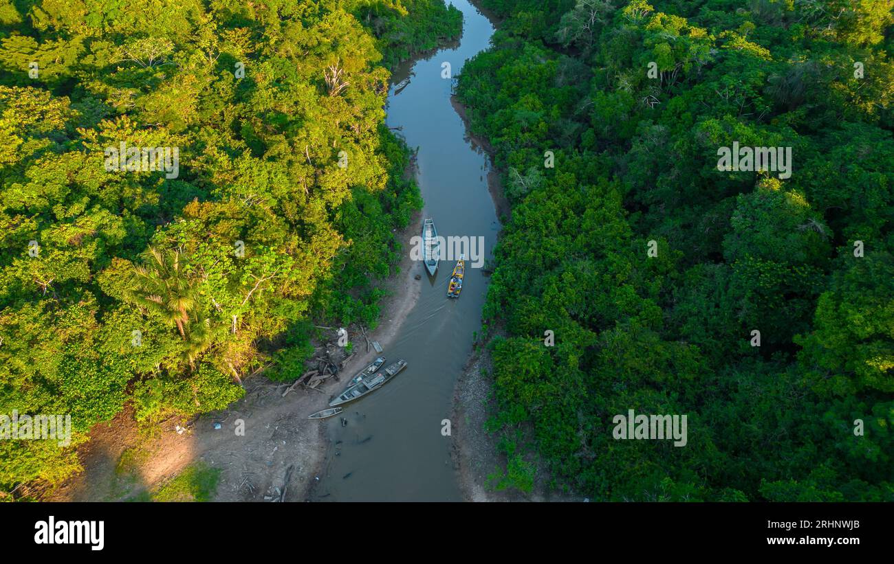 Fluss des peruanischen Amazonas mit Auwäldern an den Seiten, Dschungel voller Wildtiere im peruanischen Amazonasgebiet Stockfoto