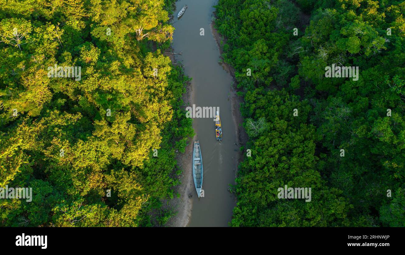 Fluss des peruanischen Amazonas mit Auwäldern an den Seiten, Dschungel voller Wildtiere im peruanischen Amazonasgebiet Stockfoto