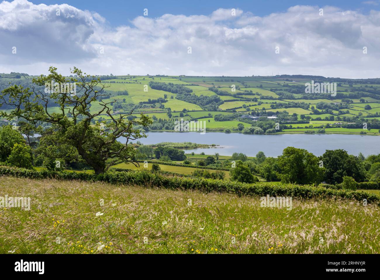 Blagdon Lake im Yeo Valley am nördlichen Fuß der Mendip Hills von Nemptett Thrubwell, Somerset, England. Stockfoto