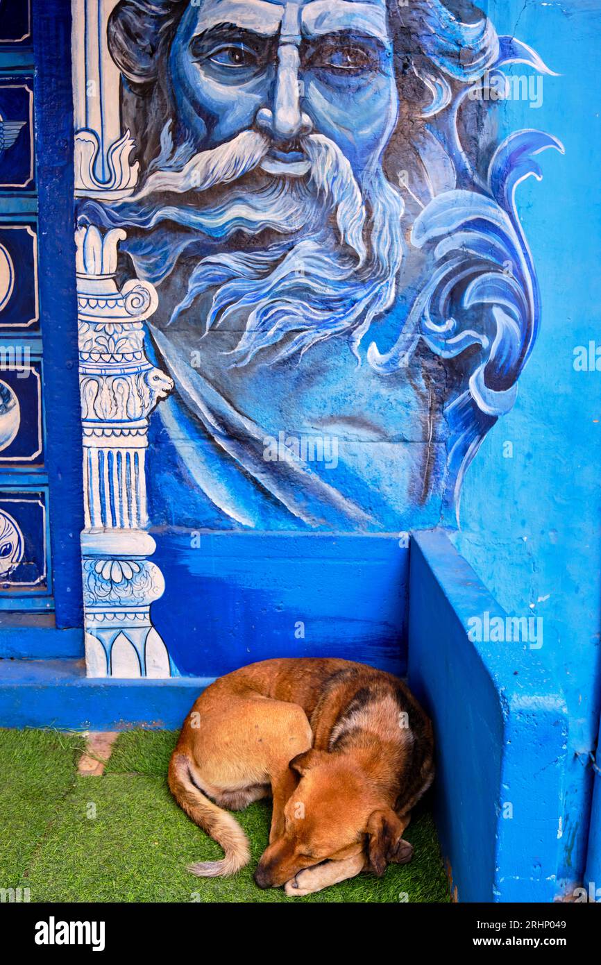 Indien, Rajasthan, Jodhpur, die blaue Stadt Stockfoto