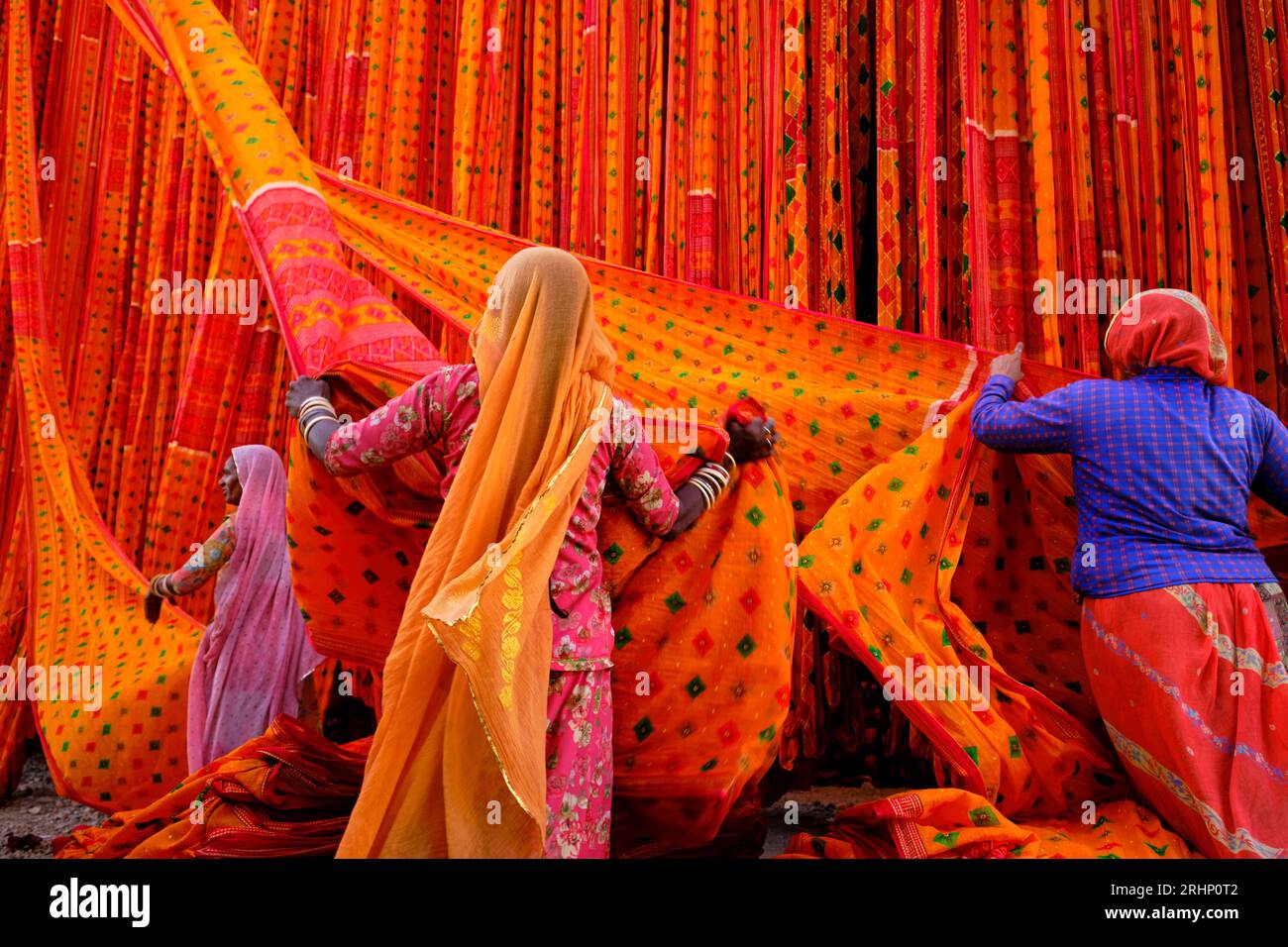 Indien, Rajasthan, Sari Factory, Textile sind an der frischen Luft getrocknet. Sammeln von trockenen Textil durch Frauen gefaltet werden Stockfoto