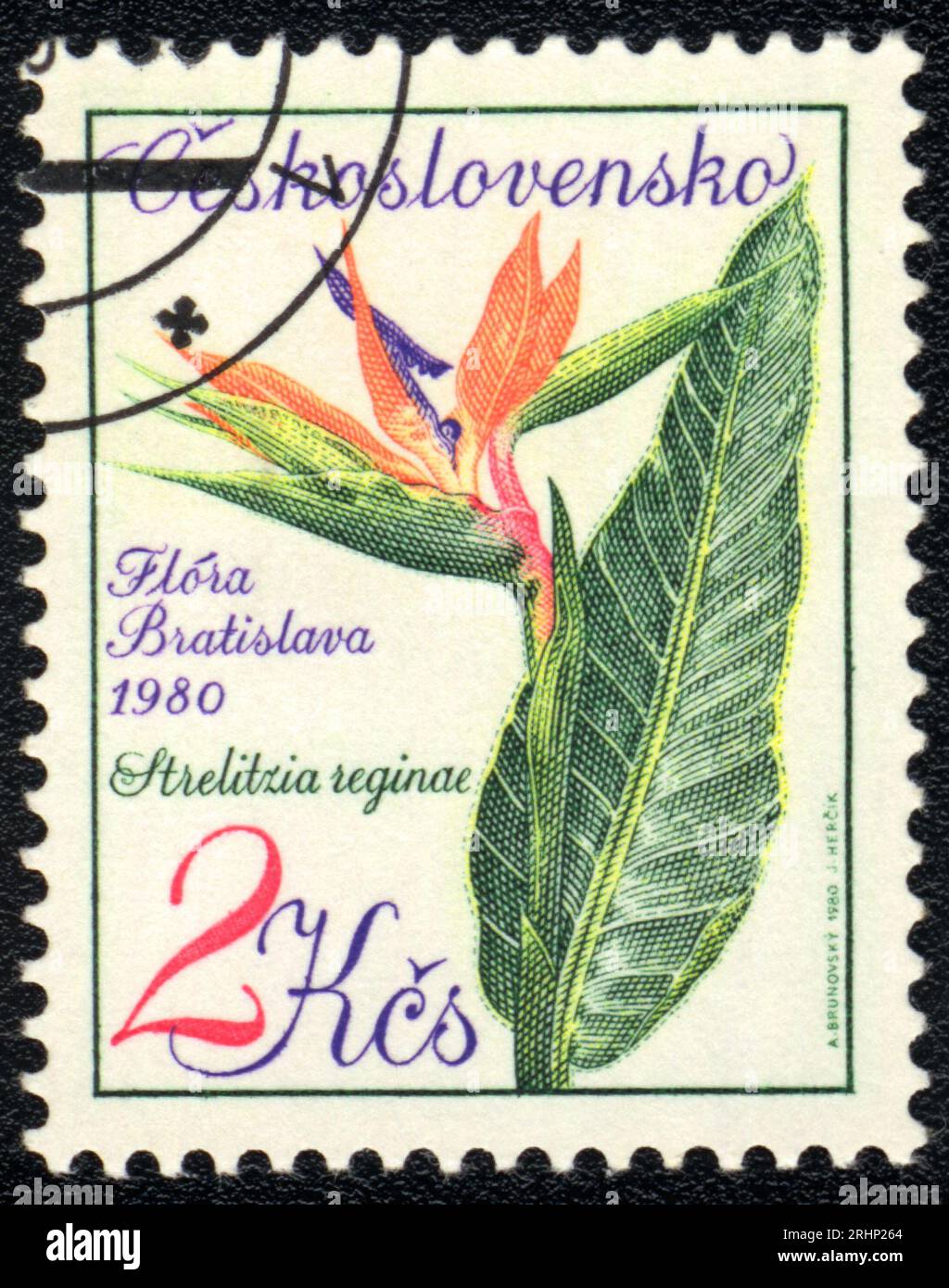 Ein in der Tschechoslowakei gedruckter Stempel zeigt das Bild der Kranichblume Strelitzia reginae, Flora Bratislava, 1980 Stockfoto