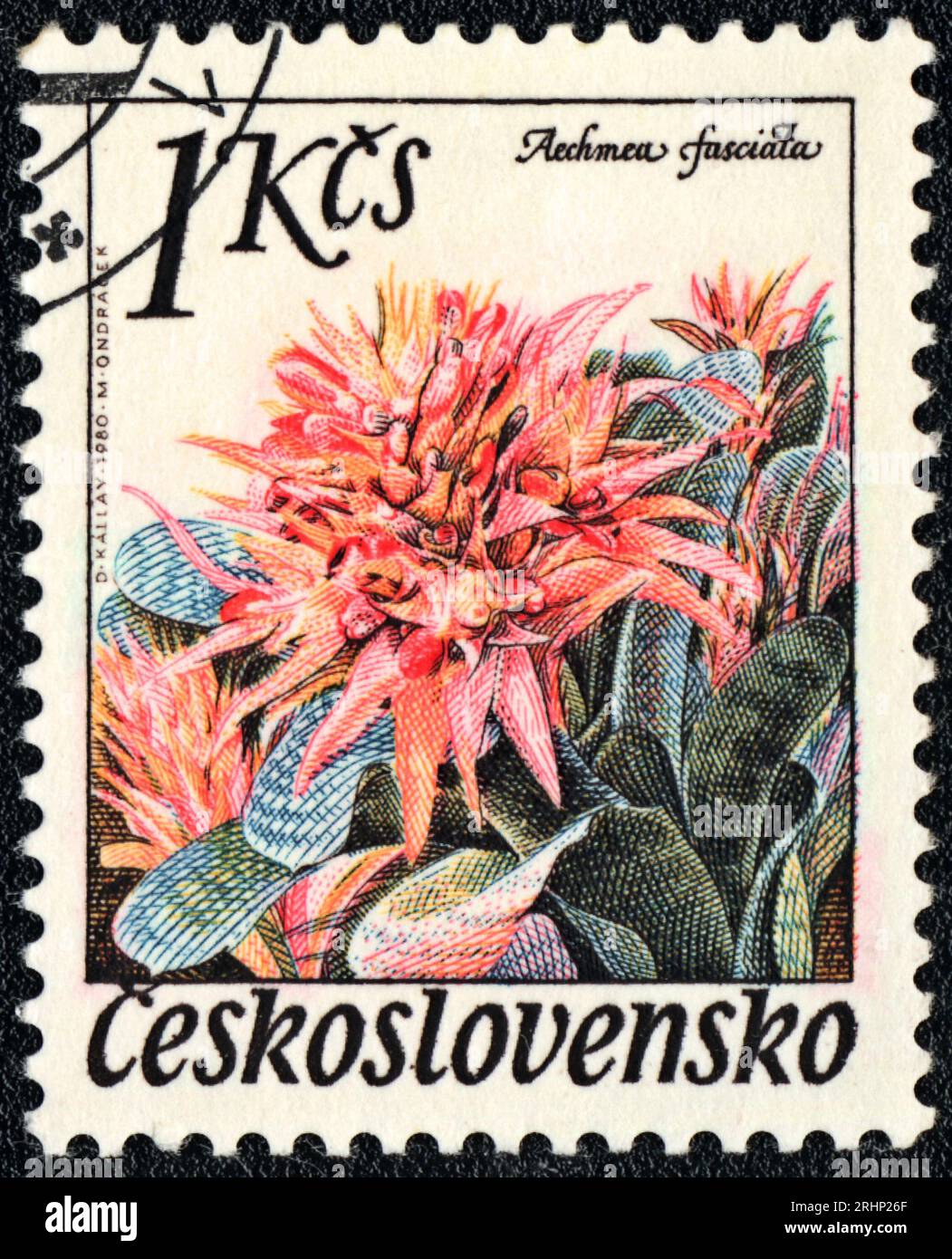Eine Briefmarke zeigt die blühende Pflanze von Aechmea fasciata, Tschechoslowakei 1980 Stockfoto