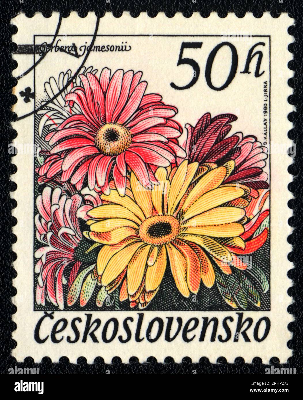 Eine in der Tschechoslowakei gedruckte Briefmarke zeigt Bildblumen von Gerbera jamesonii, Tschechoslowakei 1980 Stockfoto
