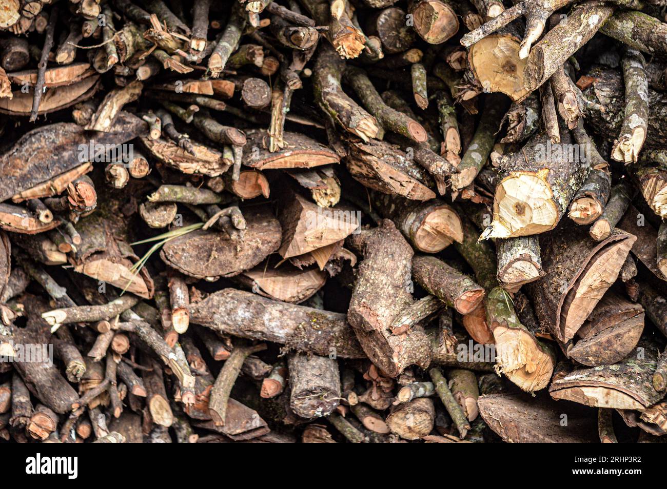 Abstrakter Hintergrund aus gehacktem Brennholz. Stockfoto